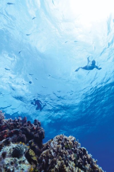 RCI_RiverJordan_Harmony_Cozumel_Snorkeling_1936_RET_CMYK